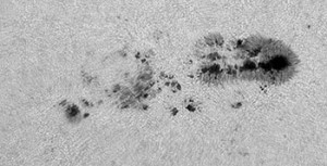 Große Sonnenfleckengruppe mit der NOAA-Nr. 11785, die viele Details vor allem in den Penumbren zeigt. 3"-Refraktor bei 8000mm, 7.7.2013, 9:04 MESZ, 1/250s, Solar Continuum Filter [Erich Kopowski]