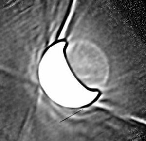 Die Venus bei 1µm Wellenlänge am 4. Mai um 20:00 UTC mit dem 80cm-Spiegel der VSW München aufgenommen: Die Nachtseite ist im IR-Bild durch das Glühen der heißen Oberfläche zu erkennen. [Bernd Gährken]