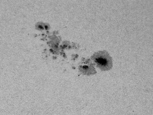 Sonnenfleckengruppe AR 11429 im Weißlicht am 9.3.2012, 16:11 MEZ, 3"-Refraktor mit Solar Continuum Filter bei 6000mm, 1/320s. [Erich Kopowski]