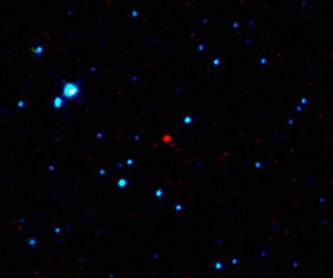 Nur ein Punkt am Himmel: Der erste Near Earth Asteroid, den der WISE-Satellit schon kurz nach dem Beginn seiner ersten Himmelsdurchmusterung fand. 2010 AB78 hat rund 1km Durchmesser und stellt keine Gefahr dar. In dieser Falschfarbenaufnahme sind den Wellenlängen 3,4µm, 4,6µm und 12µm die Farben Blau, Grün und Rot zugeordnet; der Asteroid ist kühl und strahlt bevorzugt bei langen Wellen. [NASA/JPL-Caltech/UCLA]