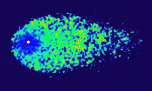 Farbunterschiede im Kometen ISON, extrem verstärkt durch Division von Hubble-Aufnahmen vom 10. April durch verschiedene Filter: Die Kometenkoma rund um den (weiß markierten) Kern ist blauer als in größerem Abstand – üblicherweise ist sie in Kernnähe rötlicher. Das könnte auf größere Mengen Wassereisteilchen in der inneren Koma hindeuten. [NASA, ESA, J.-Y. Li (Planetary Science Institute) und das Hubble Comet ISON Imaging Science Team]