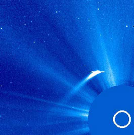 Der Komet 96P/Machholz bei seinem Periheldurchgang 2002, aufgenommen vom Sonnensatelliten SOHO: ein exotischer Orbit — und eine noch exotischere chemische Zusammensetzung, die viele Fragen aufwirft. [ESA]