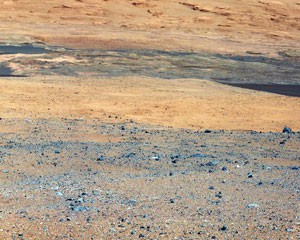 Ein Blick von der Landestelle zu jener Region am Fuße des Aeolis Mons, zu der Curiosity bald aufbrechen dürfte, ein Ausschnitt aus dem ersten Farbpanoroma der Hauptkamera Mastcam. Die Farben wurden hier so korrigiert, wie die Landschaft auf der Erde – ohne den rötlichen Marshimmel darüber – erscheinen würde: Geologen können sich so leichter einen Reim darauf machen, mit was für Material sie es zu tun haben werden. [NASA/JPL-Caltech/MSSS]