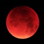 Profilbild von  