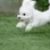 Profilbild von  