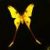 Profilbild von  