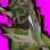 Profilbild von  
